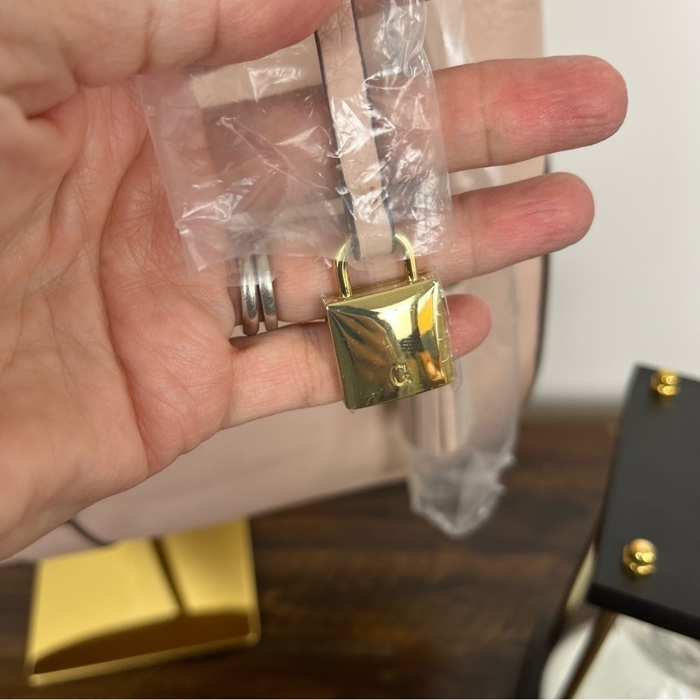 G.I.L.I. Classic Hobo Pebbled Leather in Blush. NWOT. Large #361 - Picture 5 of 12